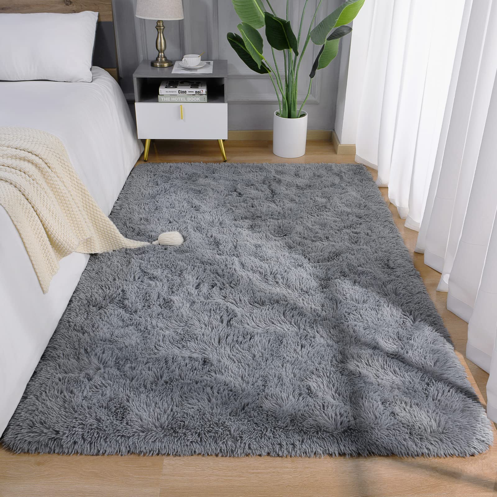Soft Shaggy Dorm Rug, 3x5 Plush Area Rug for Dorm Rooms